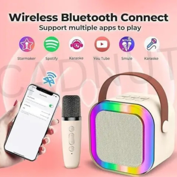 Speaker with Karaoke Mic System (1 mic) - Image 6