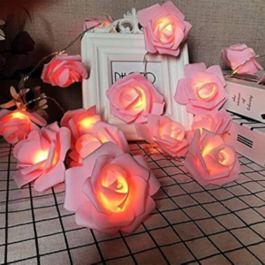 16 Rose Flower LED String Light (3 Meter)