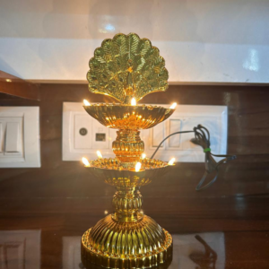 2 Step 10 Deep LED Peacock Electric Diya