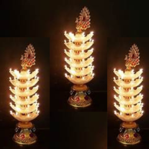 6 Step 30 Deep LED Peacock Electric Diya