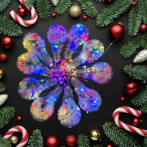 6x6 Multicolour Bulb Decoration Lights (3 meter)