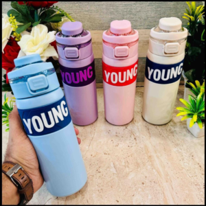 Stainless Steel Vacuum Flask Bottle (650 ml)