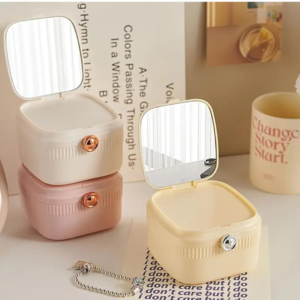 Plastic Portable Jewellary Organizer Box