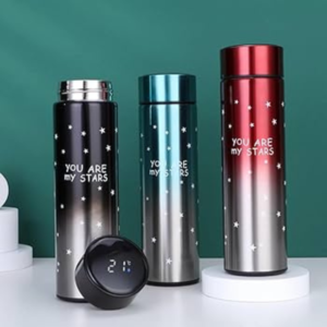 Star Stainless Steel Insulated Temperature Display Smart Bottle